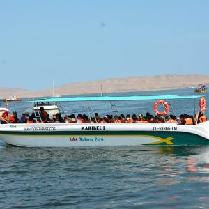 Embarcación moderna