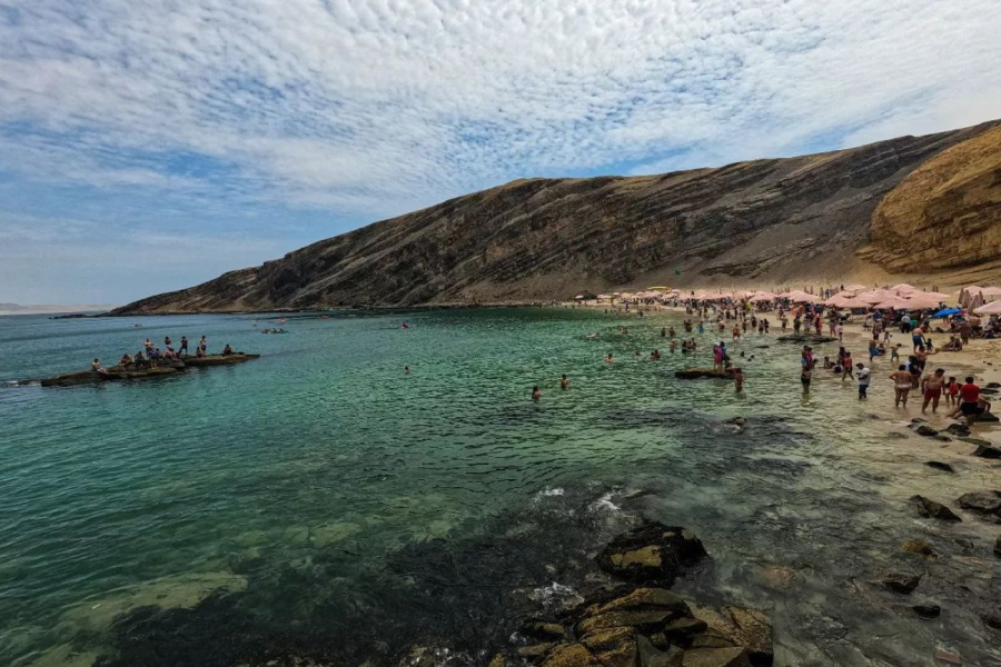 Tour Islas Ballestas +Reserva Nacional de Paracas + Buggy por el Oasis de Huacachina