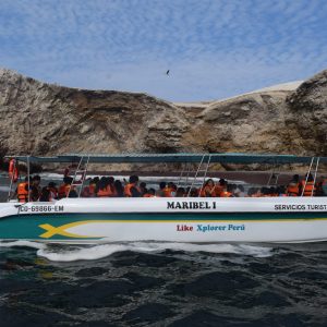 WhatsApp Image 2024-03-31 at 8.34.23 AM (1)