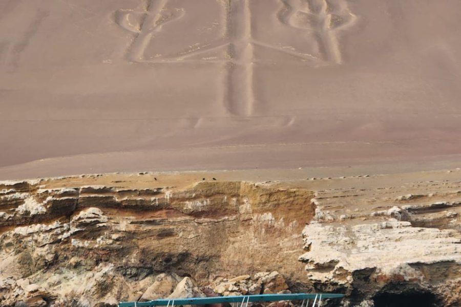 Full day Paracas