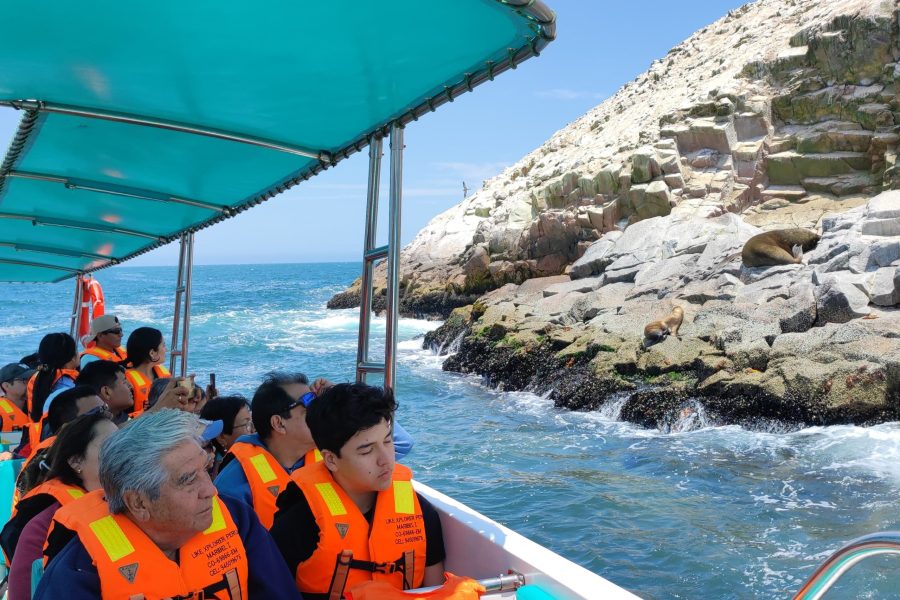 Tour Islas Ballestas Privado