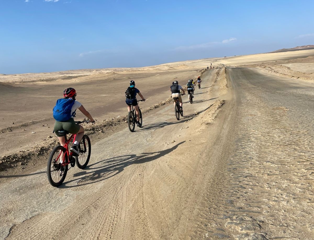 Alquiler de bicicleta para la Reserva Nacional de Paracas